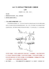 2025年高考第三次模拟考试卷：生物（上海卷）（解析版）