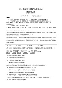 2025年高考第三次模拟考试卷：生物（广东卷02）（考试版）