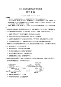 2025年高考第三次模拟考试卷：生物（河南卷）（考试版）