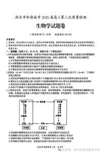 生物-安徽省淮北市和淮南市2025届高三下学期4月第二次质量检测试题含答案