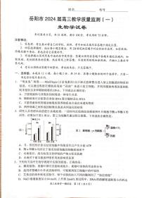 湖南省岳阳市2023-2024学年高三上学期质量监测（一）生物试卷（含答案）
