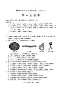 广东省梅州市2023-2024学年高一上学期期末质量检测生物试卷（含答案）