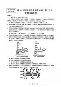 生物丨重庆市主城五区2025届高三下学期4月第二次诊断（重庆二诊）生物试卷及答案