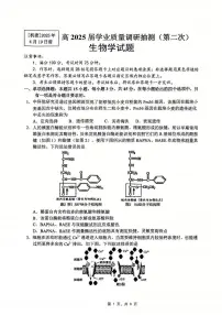 重庆市主城五区2025届高三下学期4月二诊生物试题（PDF版附答案）