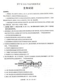2024届山东省济宁市高三一模考试(3月)生物试题（含答案）