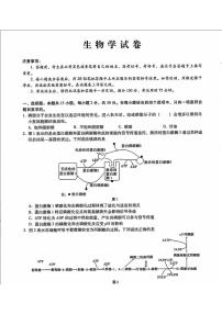 内蒙古包头市2025届高三下学期高考模拟第二次模拟-生物试题+答案