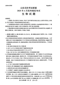 2025年山东名校考试联盟高三下学期4月生物试题及答案