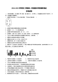 江苏省扬州市高邮市2024-2025学年高一下学期期中考试生物试卷（Word版附答案）