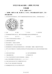 四川省泸州市泸县五中2023-2024学年高一12月月考生物试题（含答案）