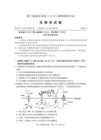 第十届湖北省高三(4月)调研模拟考试生物试卷【含答案】