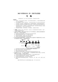 湖南省邵阳市2024-2025学年高三下学期第二次联考生物试卷含答案