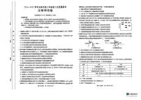 陕西省安康市2025届高三下学期4月考第三次质量联考-生物试题+答案