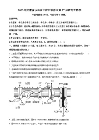 安徽省示范高中皖北协作区2025届高三下学期一模考试生物试卷（Word版附解析）