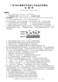 生物丨广西壮族自治区2025届高三下学期4月高中毕业班适应性测试（跨市三模）生物试卷及答案