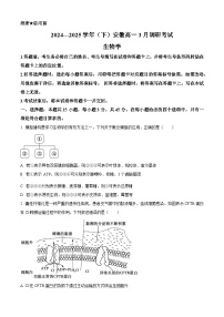 安徽省天一大联考2024-2025学年高一下学期3月月考生物试题（原卷版+解析版）