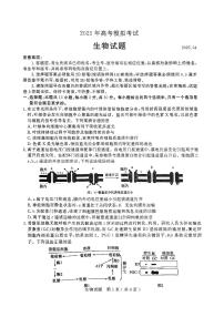 山东省济宁市2025届高三高考模拟第二次模拟-生物试卷无答案