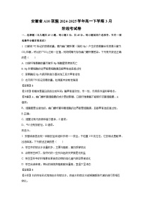 安徽省A10联盟2024-2025学年高一下学期3月阶段考生物试题（解析版）