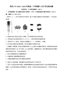 武汉六中2024-2025学年高一下学期3月考生物试卷（word版含解析）
