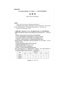 华大新高考联盟2025届高三4月教学质量测评生物试卷（无答案）