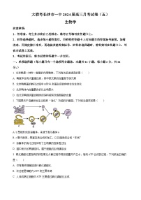 湖南省长沙市一中2024届高三月考五 生物试卷（含答案）