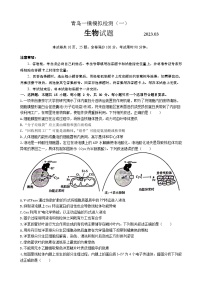 山东省青岛市2022-2023学年高三下学期一模 生物试题 附答案