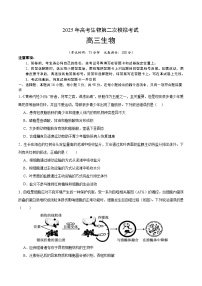 2025年高考第二次模拟考试卷：生物（河南卷）（考试版）