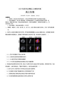 2025年高考第二次模拟考试卷：生物（北京卷）（考试版）