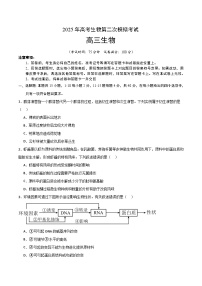 2025年高考第二次模拟考试卷：生物（福建卷）（考试版）