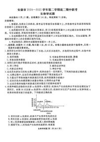 陕西省安康市2024-2025学年高二下学期4月期中联考生物试卷（PDF版附解析）