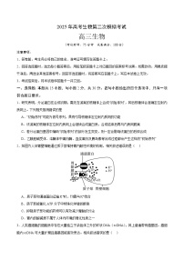 2025年高考第二次模拟考试卷：生物（江苏卷01）（考试版）
