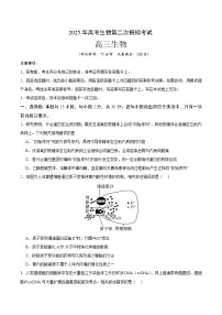 2025年高考第二次模拟考试卷：生物（江苏卷01）（考试版）