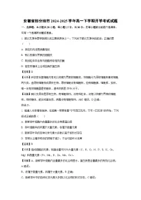 安徽省部分地市2024-2025学年高一下学期开学考试生物试卷（解析版）