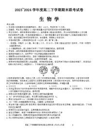 河南省商丘市商师联盟2023-2024学年高二下学期7月期末生物试题