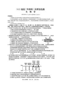 河南省开封市2025届高三高考模拟第三次模拟-生物试题+答案