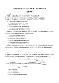 山西省太原市2024-2025学年高二下学期期中考试生物试题（Word版附答案）