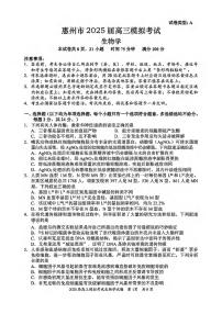 生物丨广东省惠州市2025届高三下学期4月第一次模拟生物试卷及答案