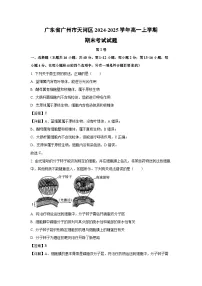 广东省广州市天河区2024-2025学年高一上学期期末考试生物试卷（解析版）