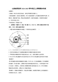 山西省阳泉市2024-2025学年高三上学期期末考试生物试卷（解析版）