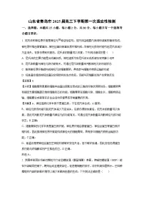山东省青岛市2025届高三下学期第一次适应性检测生物试卷（解析版）