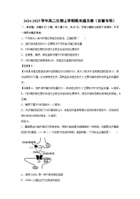 2024-2025学年高二生物上学期期末通关卷（安徽专用）生物试卷（解析版）