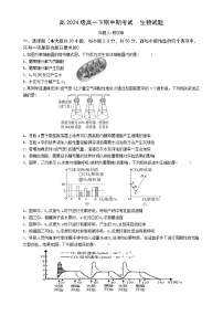重庆市万州二中2024-2025学年高一下学期期中考试生物试卷（Word版附答案）