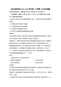 河北省邢台市2024-2025学年高一下学期4月月考生物试题（解析版）