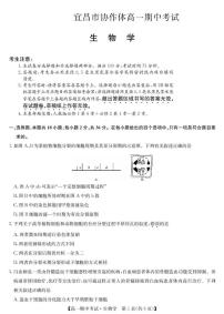 湖北省宜昌市协作体2024-2025学年高一下学期期中考试 生物 PDF版含答案