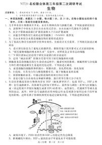 NT20名校联合体高三年级第二次调研考试生物含答案解析含答案解析