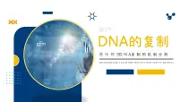 高中生物人教版 (2019)必修2《遗传与进化》DNA的复制图片ppt课件