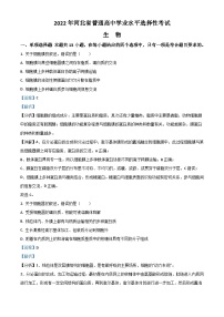 2022年高考真题——生物（河北卷）  含解析