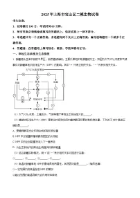 上海市宝山区2025届高三下学期二模生物试卷（Word版附解析）