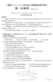 湖北省十堰市2023-2024学年高一上学期期末 生物试卷（含答案）