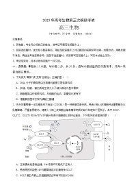 2025年高考第三次模拟考试卷：生物（江苏卷02）（考试版）