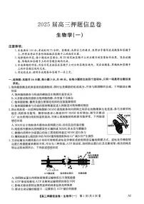 生物丨2025届高三押题信息卷（一）试卷及答案